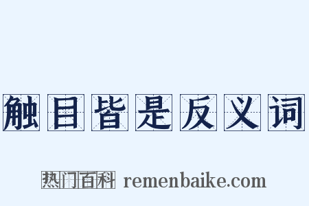 触目皆是反义词是什么意思的图片